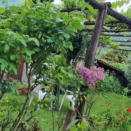 Ranalista Pt Castelveccana