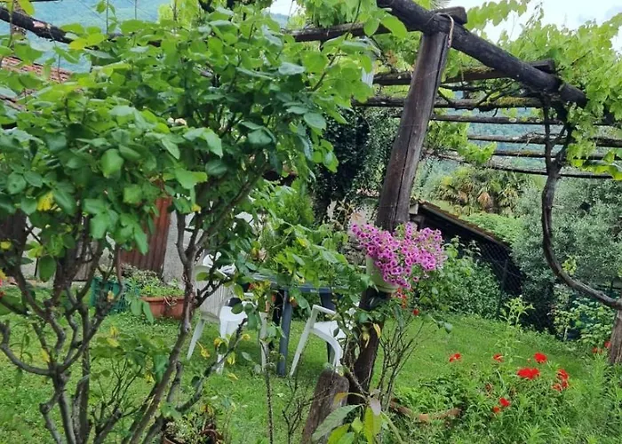 Ranalista Pt Castelveccana